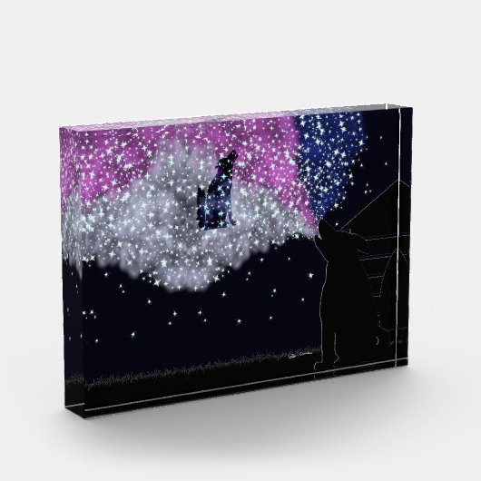 Bloc Photo Une nuit d'été avec Sirius (Gauche)