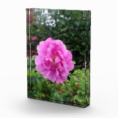 Bloc Photo Une seule fleur rose (Droite)