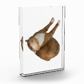 Bloc Photo Upside-Down Sunshine (Gauche)