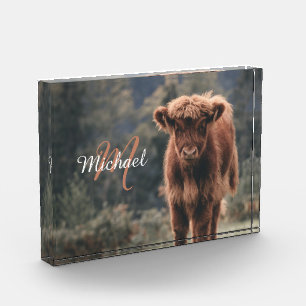 Bloc Photo Vache de Highland calvaire herbe d'automne monogra