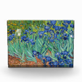 Bloc Photo Vincent Van Gogh - Irises (Devant)