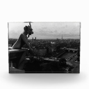 Bloc Photo Vintage France Paris Cathédrale Notre Dame diable