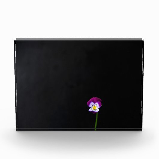 Bloc Photo Violette fleur pbcna (Devant)