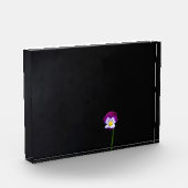 Bloc Photo Violette fleur pbcna (Gauche)