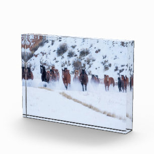 Bloc Photo Voiture Cowboy Hideout Ranch Shell, Wyoming