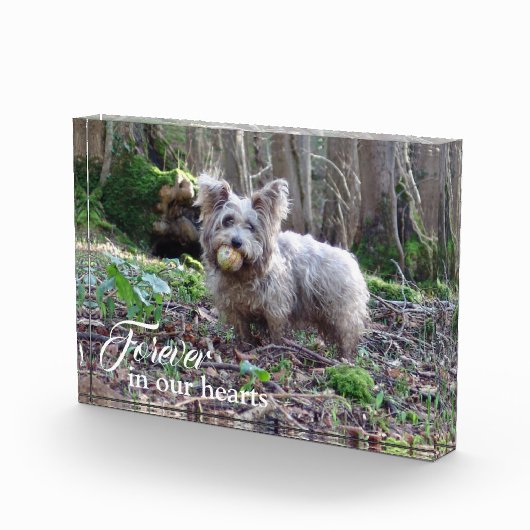 Bloc Photo Votre photo de chien pour toujours dans nos coeurs (Droite)