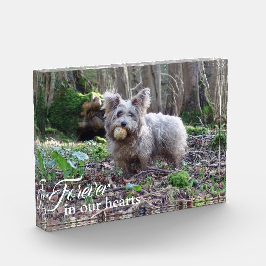Bloc Photo Votre photo de chien pour toujours dans nos coeurs (Gauche)