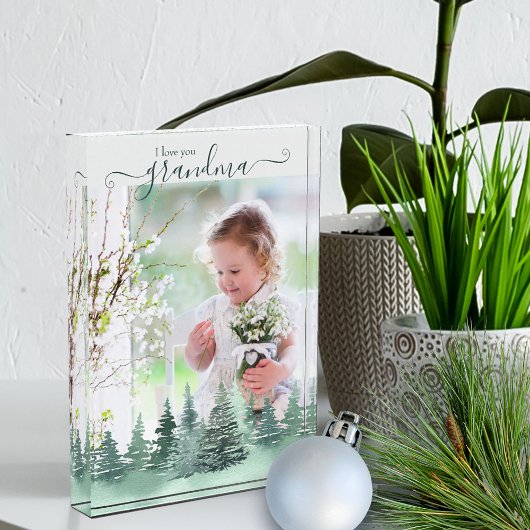 Bloc Photo Vous aimez la superposition de la forêt d'hiver de