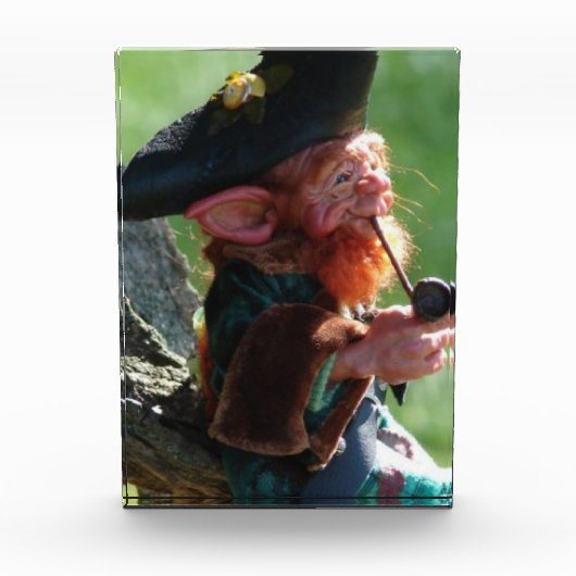 Bloc Photo vrai lutin (Devant)