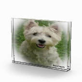 Bloc Photo Westie Dog. (Droite)