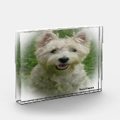 Bloc Photo Westie Dog. (Gauche)