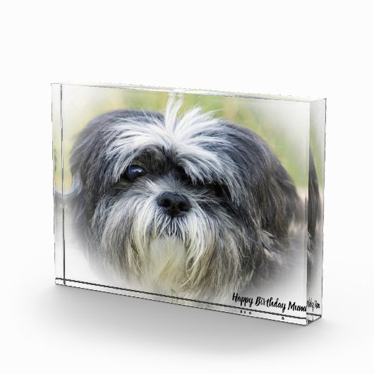 Bloc Photo Westie Dog. (Droite)