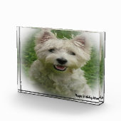 Bloc Photo Westie Terrier Dog. (Droite)