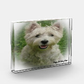 Bloc Photo Westie Terrier Dog. (Gauche)