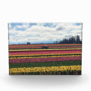 Bloc Photo Wooden Shoe Tulip Farm, Woodburn, Oregon