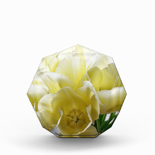 Bloc Photo Yellow Tulip Bouquet