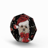 Bloc Photo Yorkie (Droite)