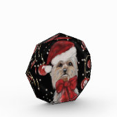 Bloc Photo Yorkie (Gauche)