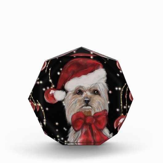 Bloc Photo Yorkie (Devant)