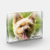 Bloc Photo Yorkshire Terrier Dog. (Gauche)