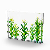 Bloc Photo Zea mays (Droite)