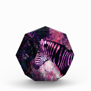 Bloc Photo Zèbre rose