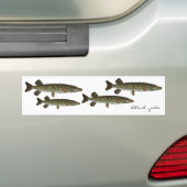 Bloch - pike bumpersticker (Op auto)
