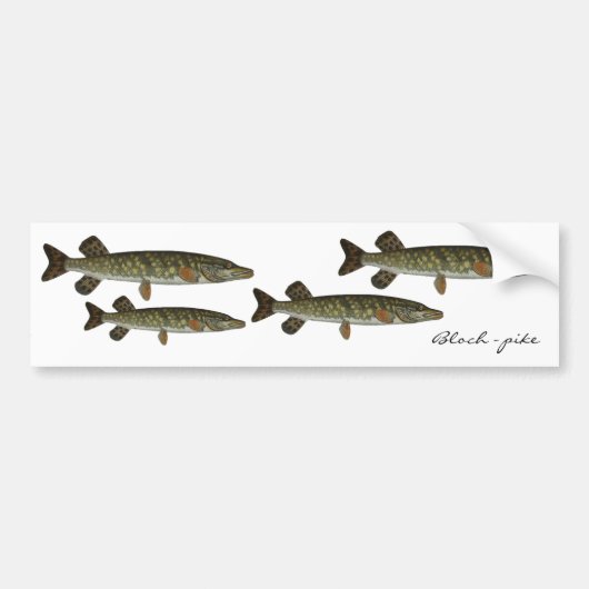 Bloch - pike bumpersticker (Voorkant)