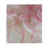 Blocnote met witte en roze anjer (Voorkant)