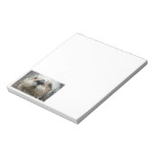 Blocs-notes avec visage de loutre de mer (Tourné)