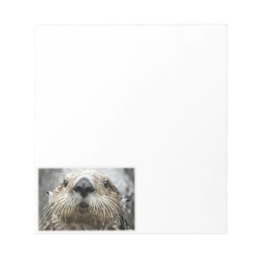Blocs-notes avec visage de loutre de mer (Devant)