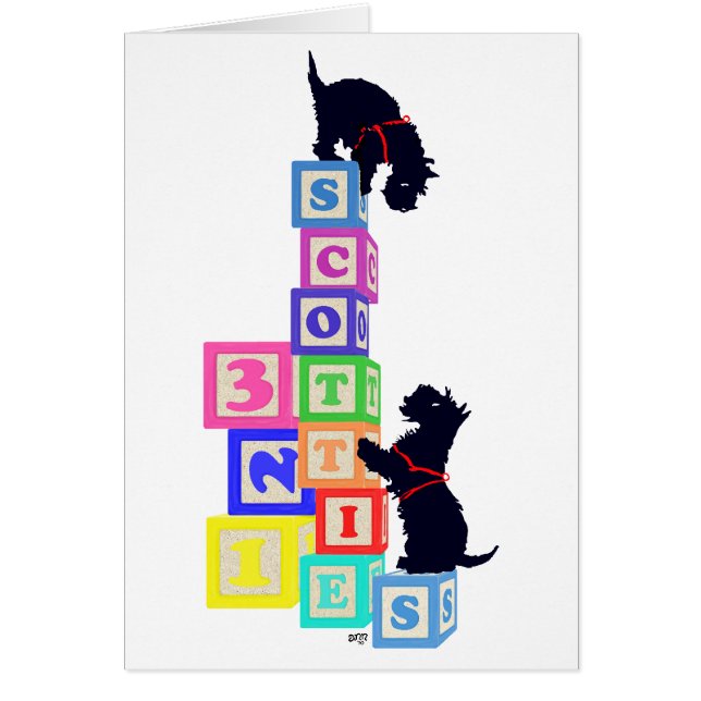 Blocs Scottie (Devant)