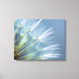 Bloed Dandelion Seed Head Canvas Afdruk