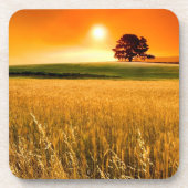 Bloed-rode zonnebank bier onderzetter (Voorkant)