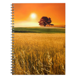 Bloed-rode zonnebank notitieboek