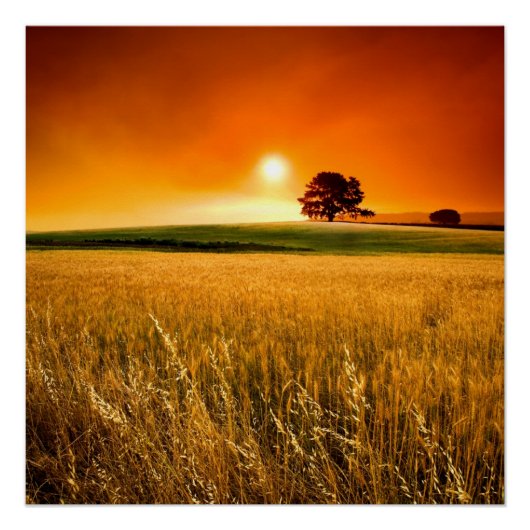 Bloed-rode zonnebank perfect poster (Voorkant)