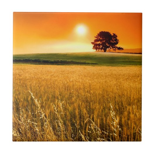 Bloed-rode zonnebank tegeltje (Voorkant)