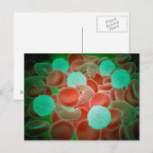 Bloedcellen met rode bloedcellen briefkaart (Voorkant / Achterkant)