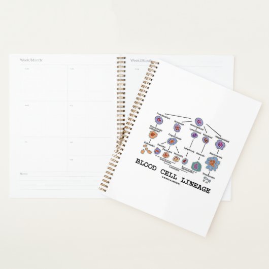 Bloedcellijn Biologie Gezondheidsgeneesmiddelen Planner (Display)