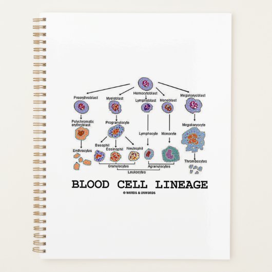 Bloedcellijn Biologie Gezondheidsgeneesmiddelen Planner (Voorkant)