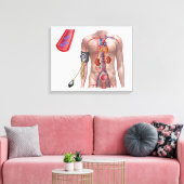 Bloeddruk en bloedsomloop canvas afdruk (Insitu (Woonkamer))