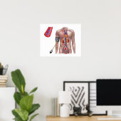 Bloeddruk en bloedsomloop poster (Thuiskantoor)