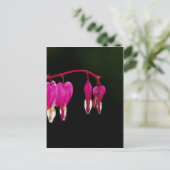 Bloedend hart briefkaart (Staand voorkant)