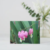 Bloedharten Briefkaart (Staand voorkant)