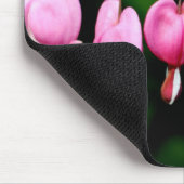 Bloedharten Muismat (Hoek)