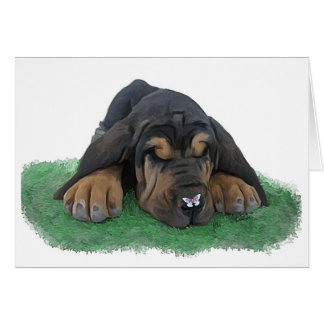 bloedhond