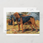 bloedhond briefkaart (Voorkant / Achterkant)