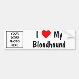 bloedhond bumpersticker
