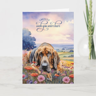 Bloedhond Honden Bloemen Ik Mis Je Kaart