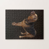 bloedhond legpuzzel (Horizontaal)